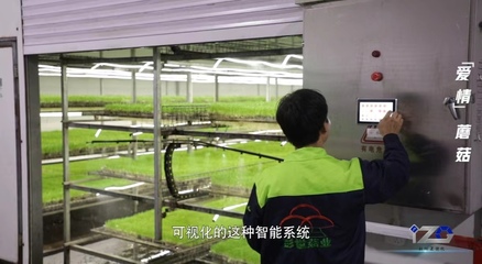 我有一根“蘑”法棒丨科創Z世代 人工智能基礎軟件開發